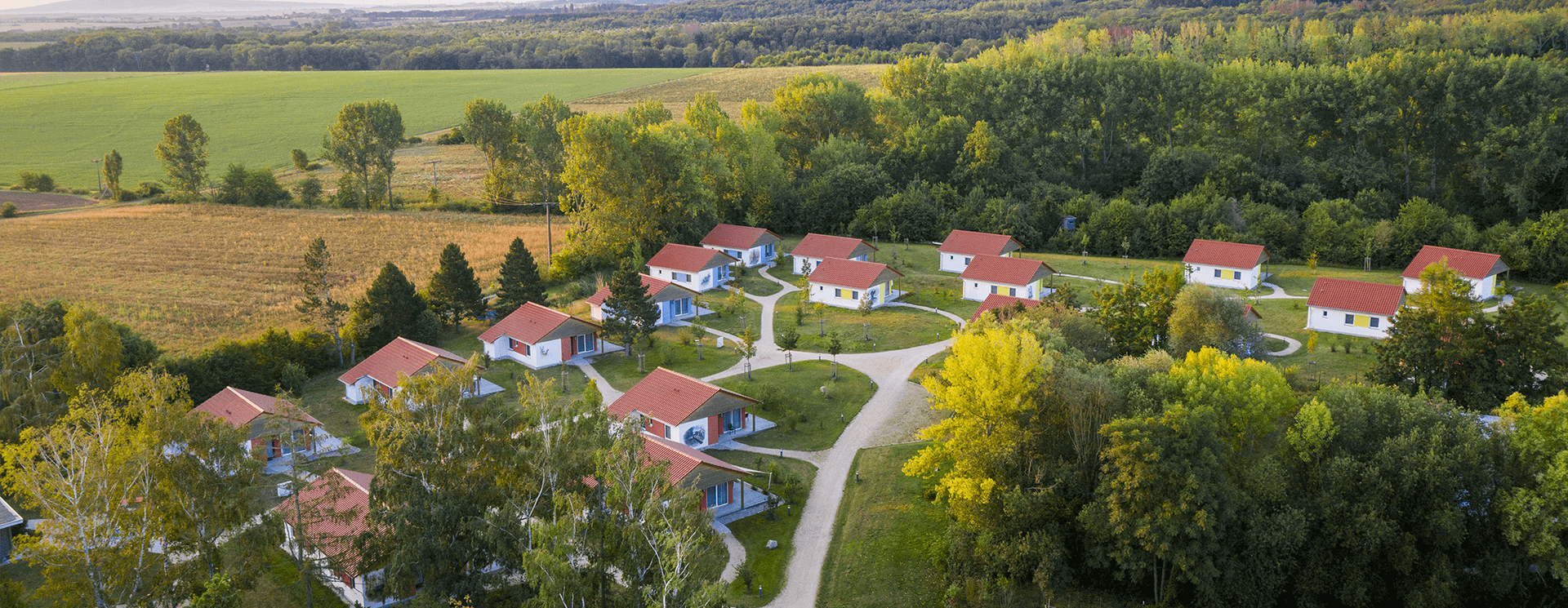 Ferienhauser von oben umgebenvon grüner Natur