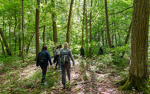 Gruppe von Menschen spaziert gemeinsam durch einen grünen Wald