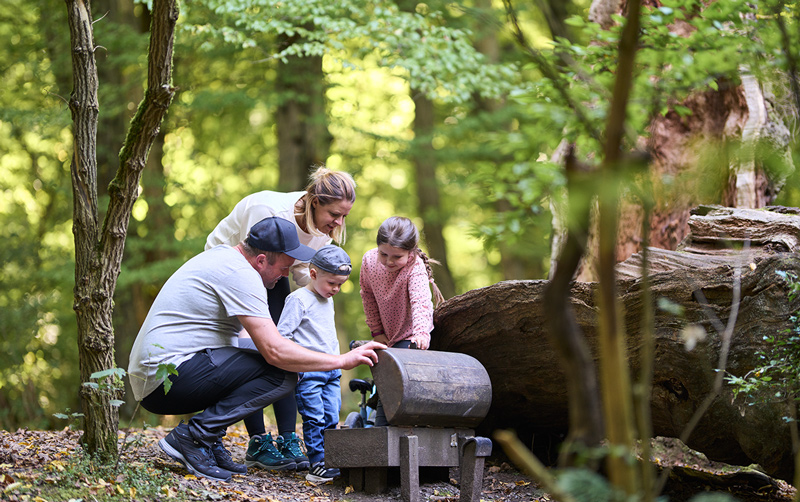 Familie kniet im Wald vor einer metallenen Schatztruhe